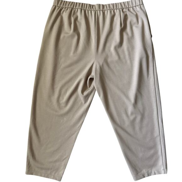 Eileen Fisher Plus Flex Tencel Ponte Slouchy Pant Beige Size 1X - Picture 3 of 10